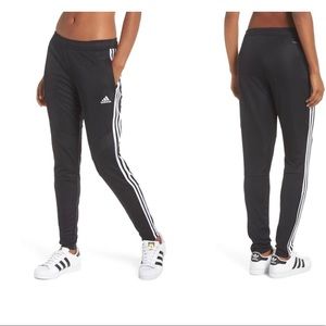 Adidas Tiro 19 Training Pants